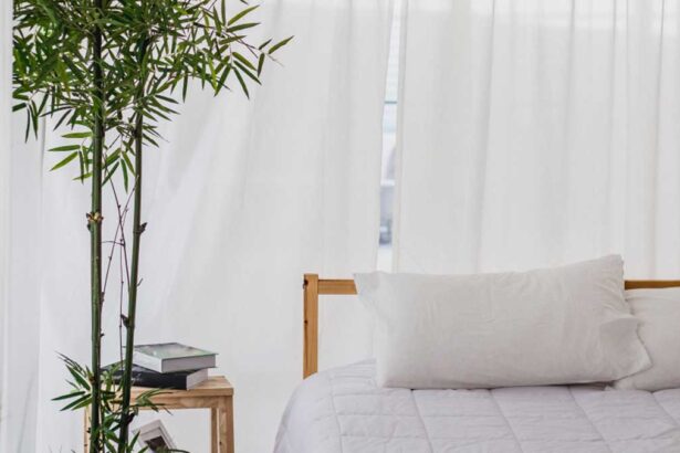 Bamboo Pillows Vs. Traditional Options: Ultimate Sleep Showdown