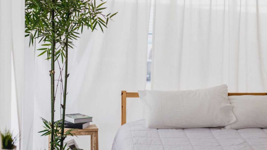 Bamboo Pillows Vs. Traditional Options: Ultimate Sleep Showdown