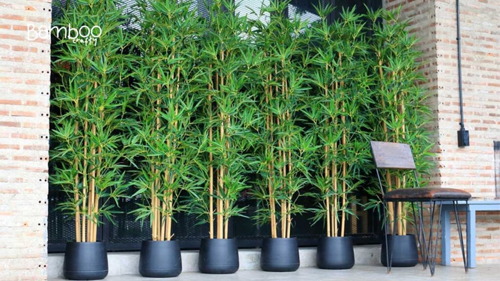 Benefits Of Bamboo In Gardens