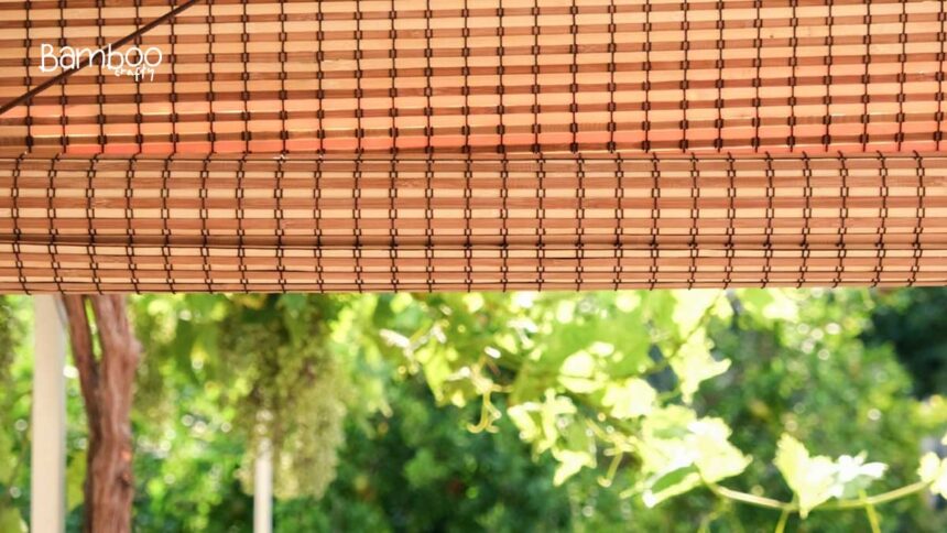 Bamboo Blinds: Stylish & Sustainable Window Solutions