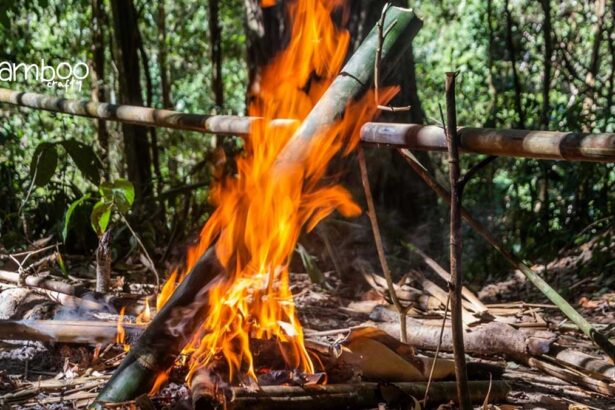 Does Bamboo Make Good Firewood? Ignite the Facts!