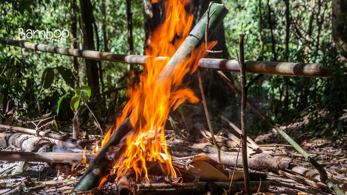 Does Bamboo Make Good Firewood? Ignite the Facts!