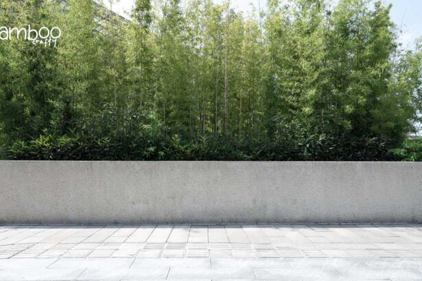 Can Bamboo Grow Through Concrete? Unveiling Nature’s Power