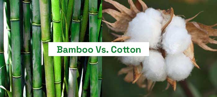 Bamboo Vs. Cotton