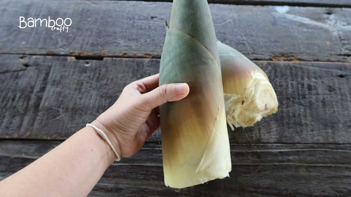 What are the Benefits of Bamboo Shoots: Top Nutrient Powerhouse!