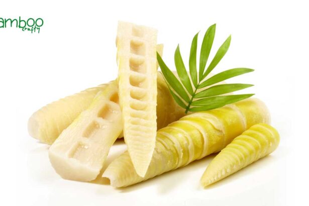 What are the Benefits of Eating Bamboo Shoots: Nutrient Powerhouse Revealed