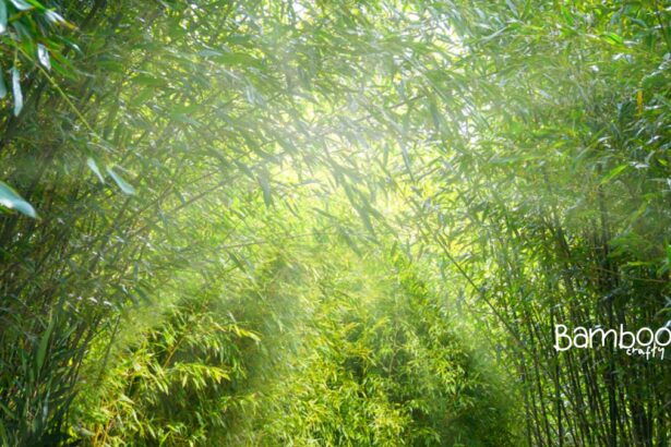 Can Bamboo Grow in Indiana? Thriving Tips Revealed!