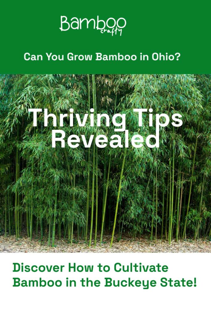 Introduction To Bamboo Cultivation In Ohio