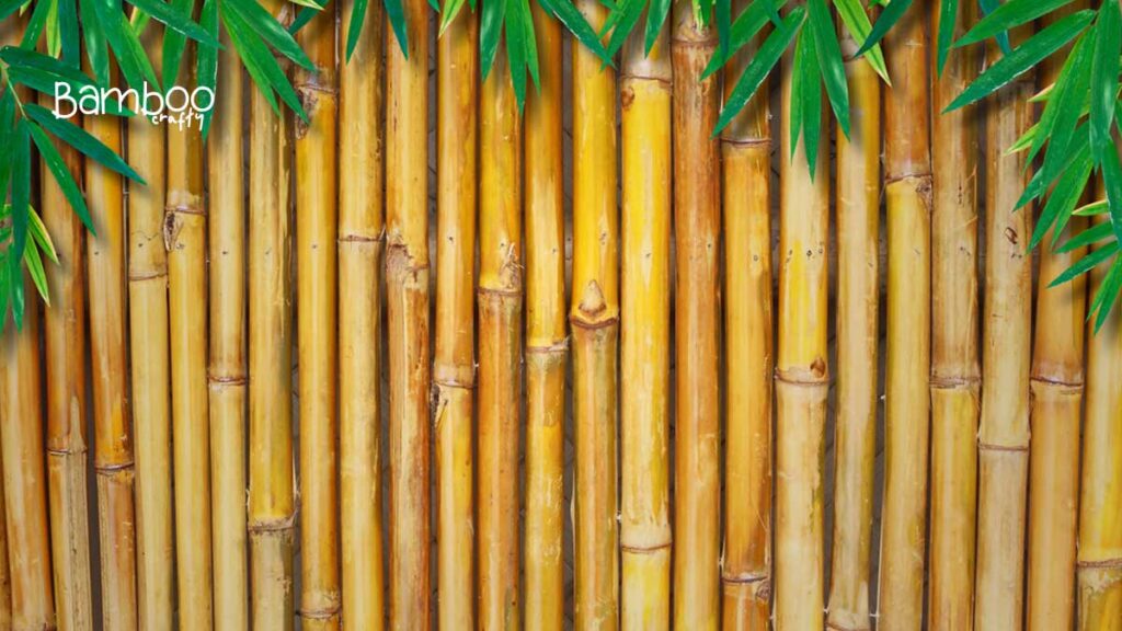 Choosing The Right Bamboo Sticks