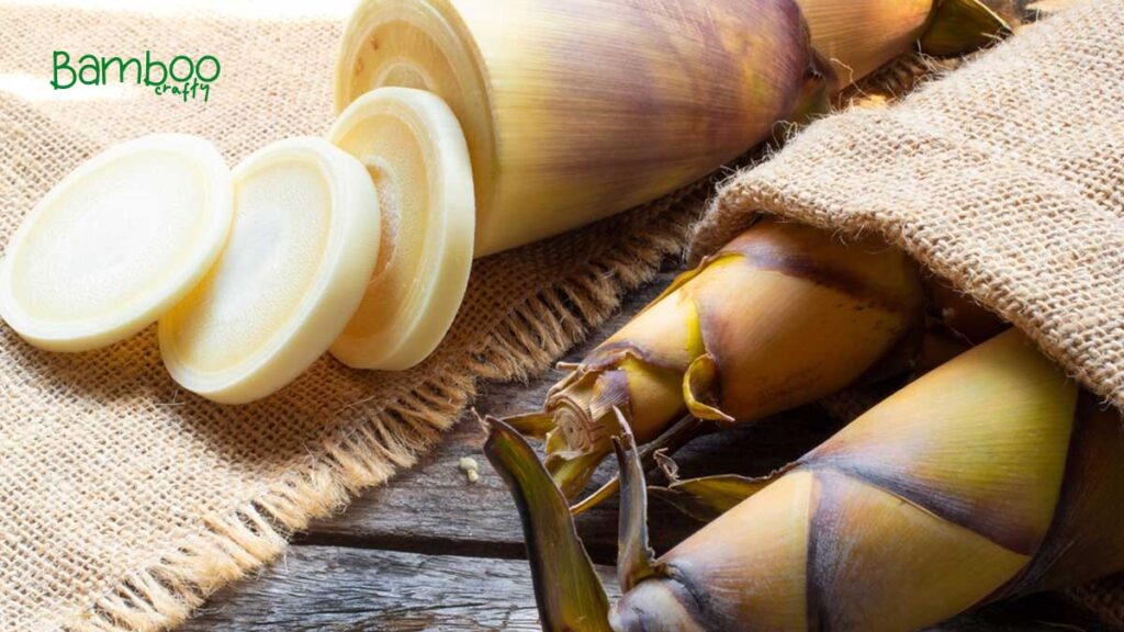 Introduction To Bamboo Shoots