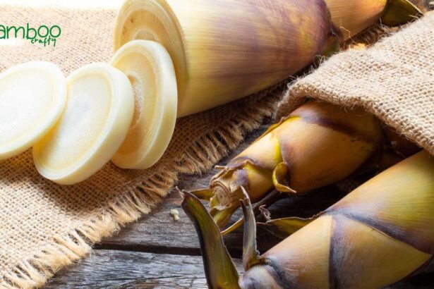 What Does Bamboo Shoots Benefits: Unlock Nature’s Secrets