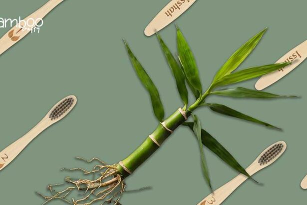 Isshah Bamboo Toothbrushes: Eco-Friendly Oral Care Revolution