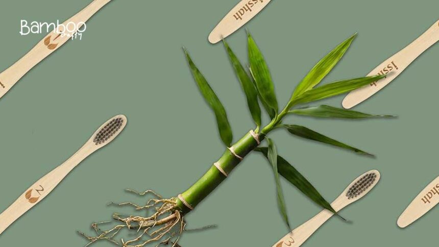 Isshah Bamboo Toothbrushes: Eco-Friendly Oral Care Revolution