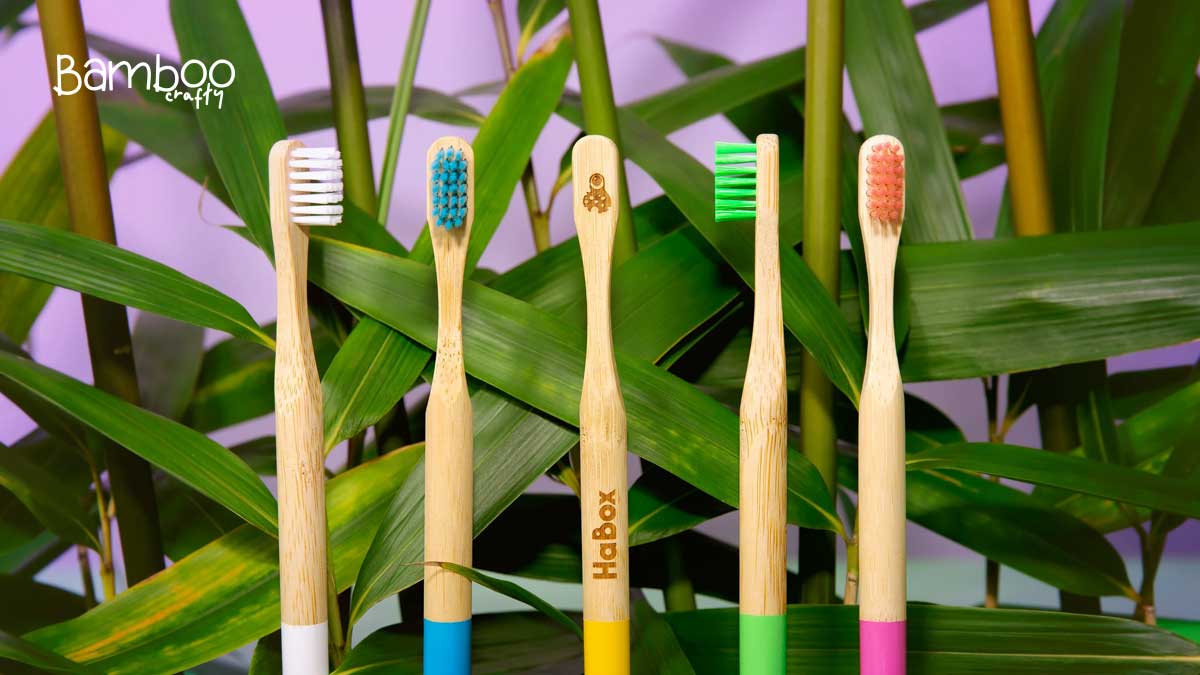 Kids Bamboo Toothbrushes: Eco-Friendly Smiles Start Young!