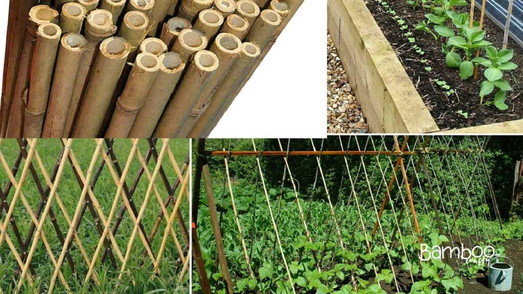 Maintaining Bamboo Sticks