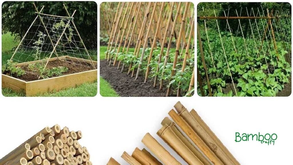 Using Bamboo Sticks