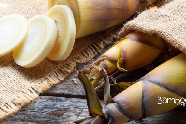 Water Chestnuts Vs Bamboo Shoots: Nutritional Showdown!